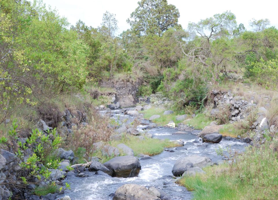 Arusha National Park