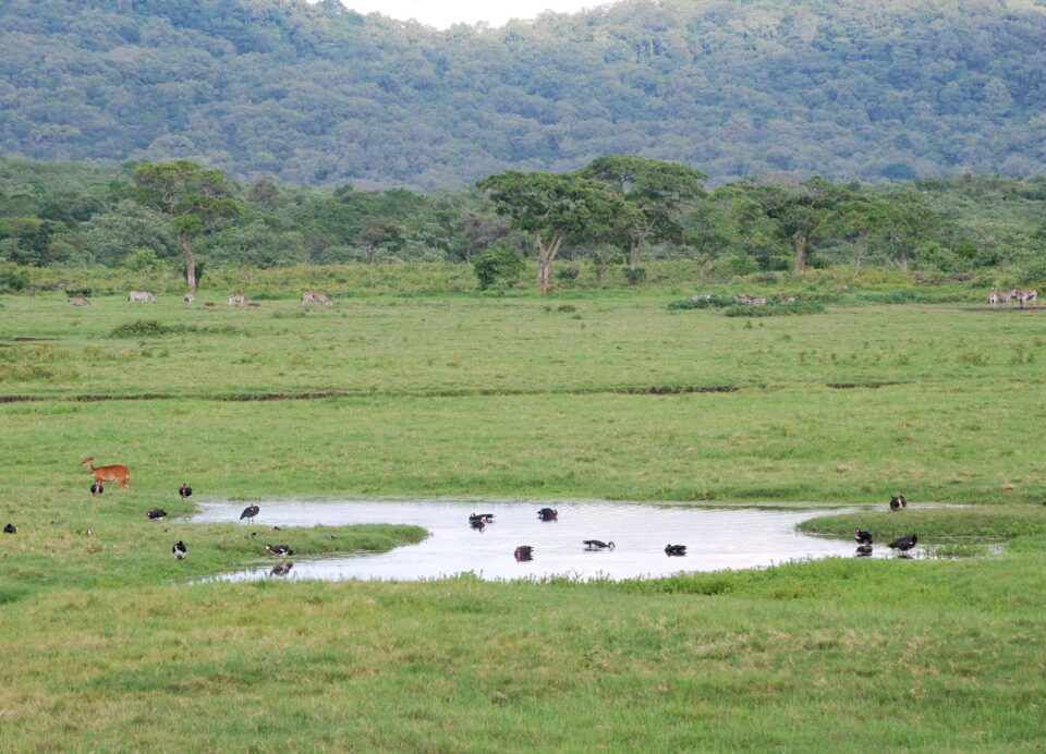 Arusha National Park