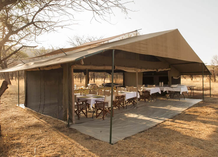 Com'è un campo tendato mobile in Tanzania? - Safari in Tanzania: Consigli di Viaggio | Travel Blog