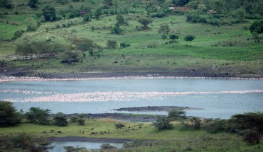 Parco Nazionale di Arusha