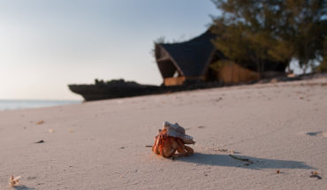 Chumbe Island Coral Park, Zanzibar: la guida di viaggio