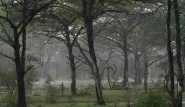 Aprile in Tanzania: clima, precipitazioni e safari