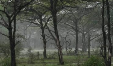 Selous Game Reserve