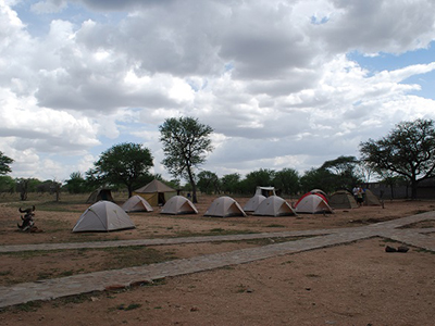 safari in tanzania