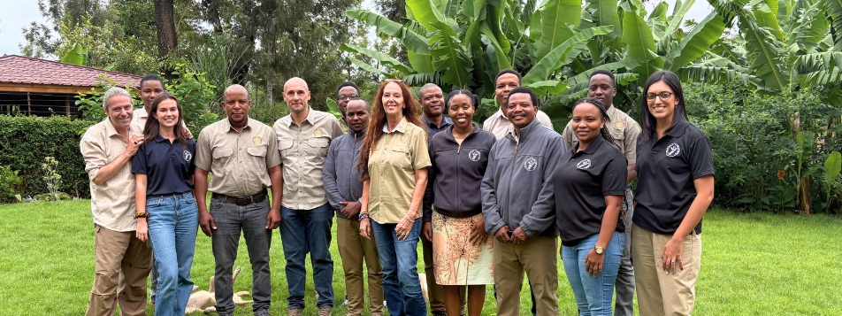 Savannah Explorers Team Ufficio