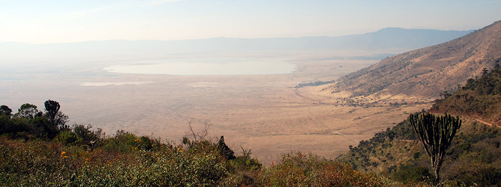 safari in tanzania