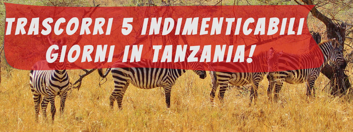 safari in tanzania 5 giorni
