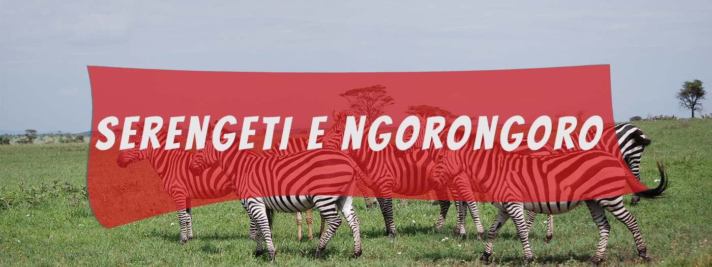 grande migrazione