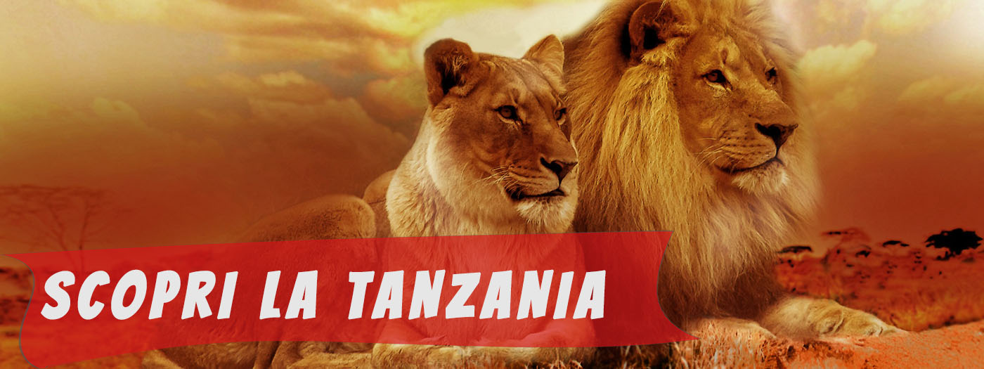 safari in tanzania 5 giorni