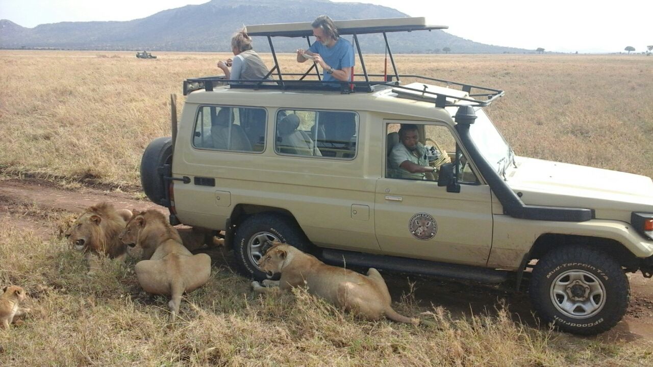 jeep e leoni